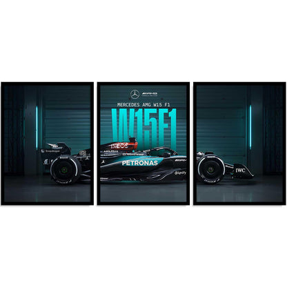 Mercedes F1 Car Framed