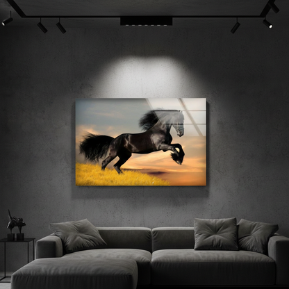 Big Black Horse Glass | Wall Art