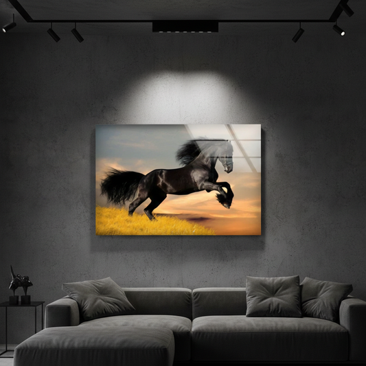 Big Black Horse Glass | Wall Art