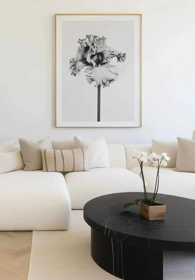 Iris en Noir Art Print