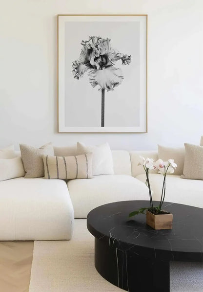 Iris en Noir Art Print