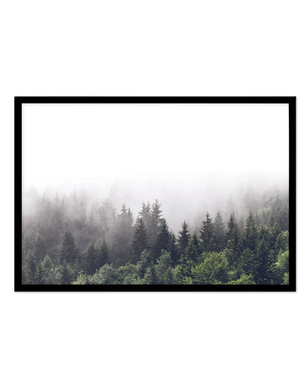 Misty Forest LS