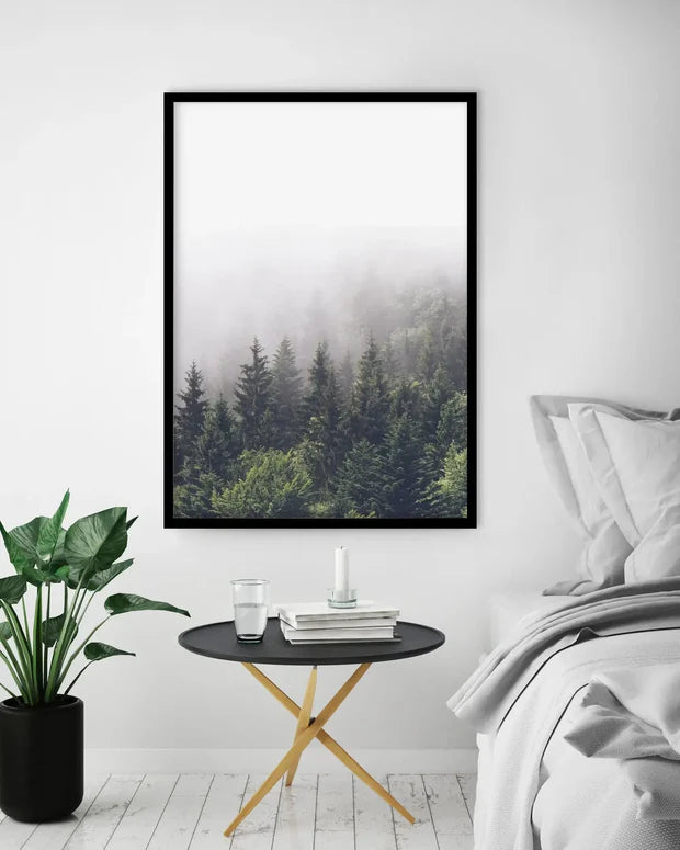Misty Forest PT